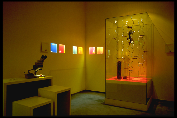 Ausstellung kl CF131724D5864DCA