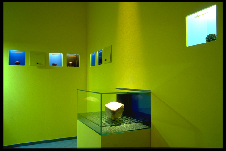 Ausstellung kl DDA765D9DB094F92
