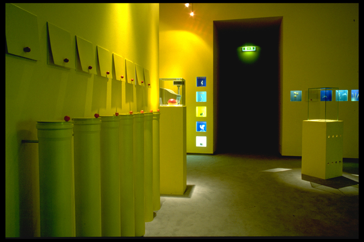 Ausstellung kl EDB51235E89D487A