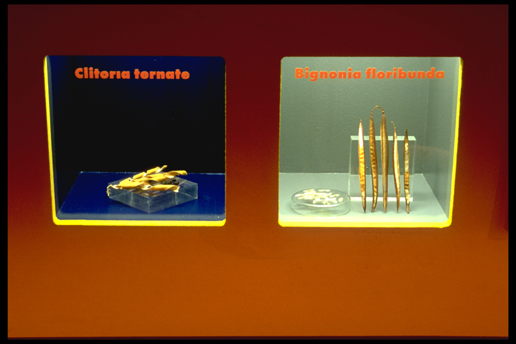 Flugfruechte kl 58302D43E49A41CD